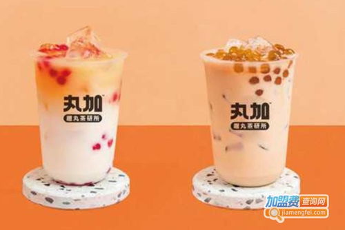 丸加奶茶加盟費(fèi)用詳情 總投資8.98萬元，加盟費(fèi)可通過官方渠道查詢